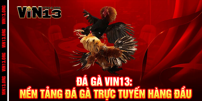 Đá Gà Vin13 - Cược đỉnh, thắng lớn, đam mê bùng nổ 1 Đá Gà Vin13: Nền Tảng Đá Gà Trực Tuyến Hàng Đầu